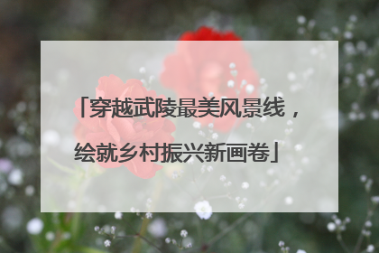 穿越武陵最美风景线，绘就乡村振兴新画卷