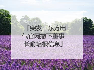 突发｜东方电气官网撤下董事长俞培根信息