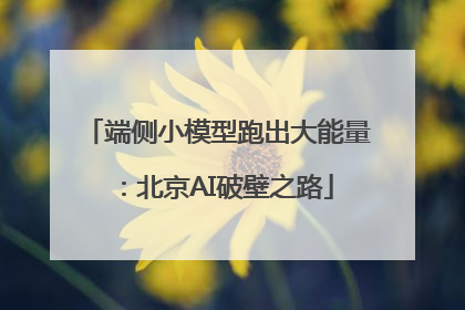端侧小模型跑出大能量：北京AI破壁之路