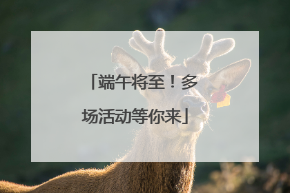 端午将至！多场活动等你来