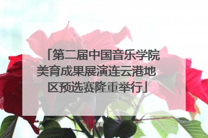 第二届中国音乐学院美育成果展演连云港地区预选赛隆重举行