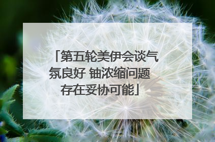 第五轮美伊会谈气氛良好 铀浓缩问题存在妥协可能