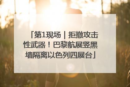 第1现场｜拒撤攻击性武器！巴黎航展竖黑墙隔离以色列四展台
