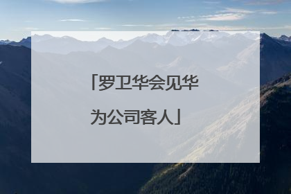 罗卫华会见华为公司客人