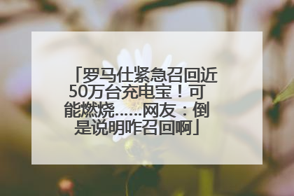 罗马仕紧急召回近50万台充电宝！可能燃烧……网友：倒是说明咋召回啊