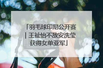 羽毛球印尼公开赛｜王祉怡不敌安洗莹 获得女单亚军