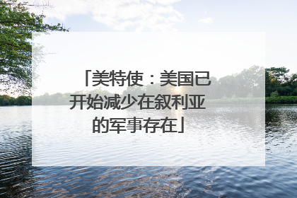 美特使：美国已开始减少在叙利亚的军事存在