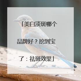 美白淡斑哪个品牌好？挖到宝了：祛斑效果