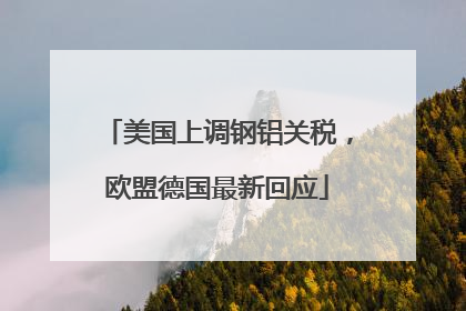 美国上调钢铝关税，欧盟德国最新回应