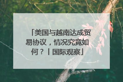 美国与越南达成贸易协议，情况究竟如何？丨国际观察