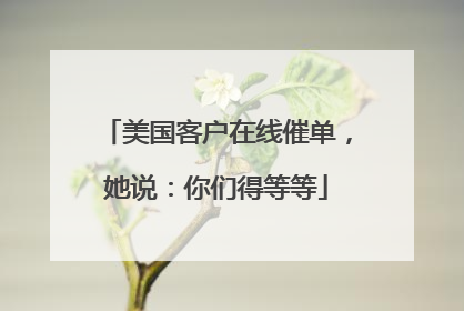 美国客户在线催单，她说：你们得等等