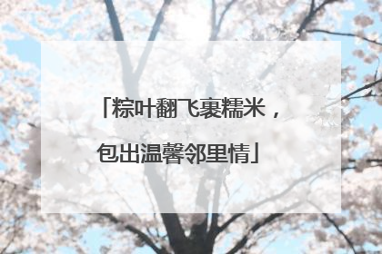 粽叶翻飞裹糯米，包出温馨邻里情