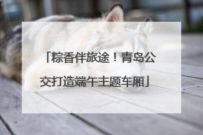 粽香伴旅途！青岛公交打造端午主题车厢