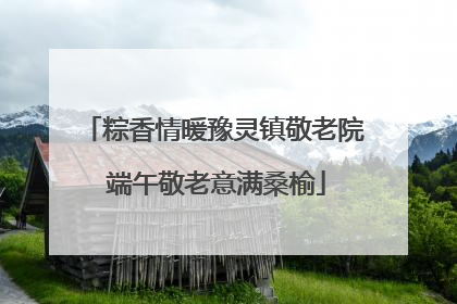 粽香情暖豫灵镇敬老院 端午敬老意满桑榆