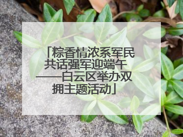 粽香情浓系军民 共话强军迎端午——白云区举办双拥主题活动