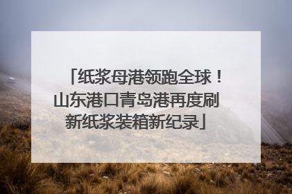 纸浆母港领跑全球！山东港口青岛港再度刷新纸浆装箱新纪录