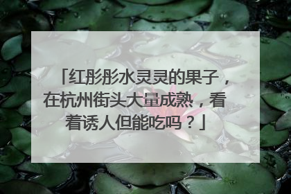 红彤彤水灵灵的果子，在杭州街头大量成熟，看着诱人但能吃吗？