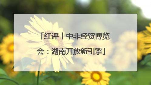 红评丨中非经贸博览会：湖南开放新引擎