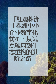 红观株洲丨株洲中小企业数字化转型：从试点破局到生态重构的进阶之路