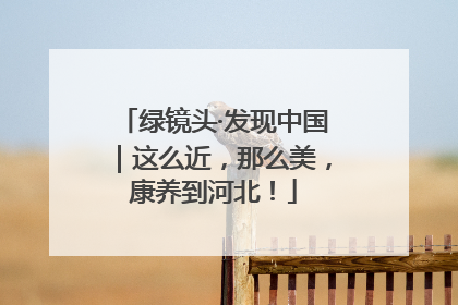 绿镜头·发现中国｜这么近，那么美，康养到河北！