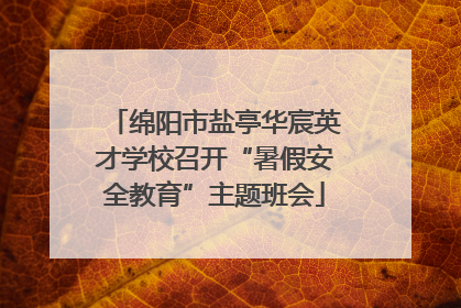 绵阳市盐亭华宸英才学校召开“暑假安全教育”主题班会