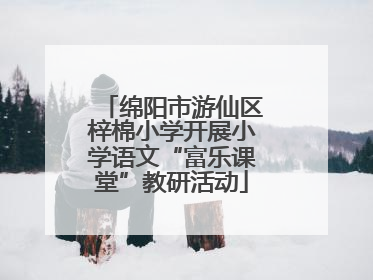 绵阳市游仙区梓棉小学开展小学语文“富乐课堂”教研活动