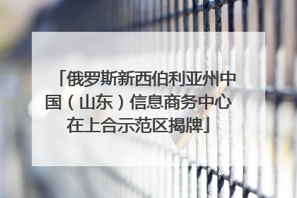 俄罗斯新西伯利亚州中国（山东）信息商务中心在上合示范区揭牌