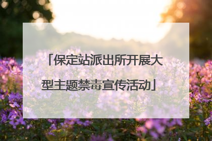 保定站派出所开展大型主题禁毒宣传活动