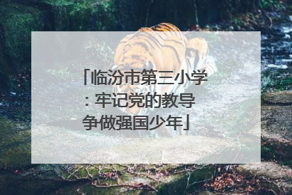 临汾市第三小学：牢记党的教导 争做强国少年