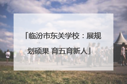 临汾市东关学校：展规划硕果 育五育新人