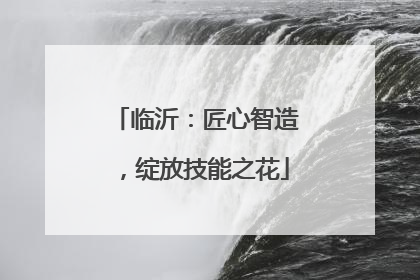 临沂：匠心智造，绽放技能之花