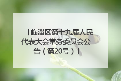 临淄区第十九届人民代表大会常务委员会公告（第20号）