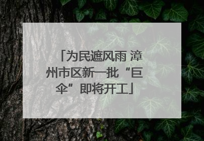 为民遮风雨 漳州市区新一批“巨伞”即将开工