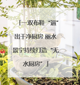一双布鞋“逼”出干净厨房 丽水景宁持续打造“无水厨房”
