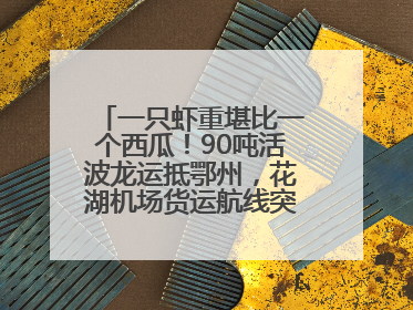 一只虾重堪比一个西瓜！90吨活波龙运抵鄂州，花湖机场货运航线突破100条