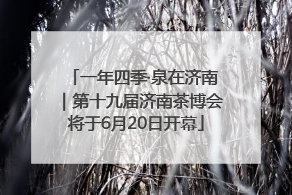 一年四季·泉在济南｜第十九届济南茶博会将于6月20日开幕