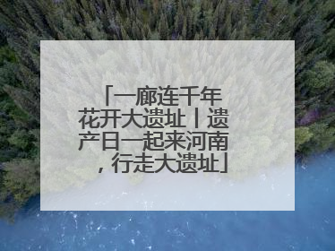 一廊连千年 花开大遗址丨遗产日一起来河南，行走大遗址