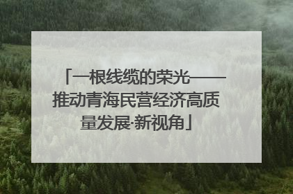 一根线缆的荣光——推动青海民营经济高质量发展·新视角