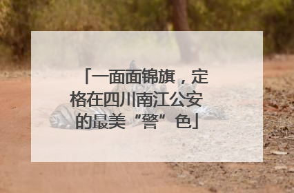 一面面锦旗，定格在四川南江公安的最美“警”色
