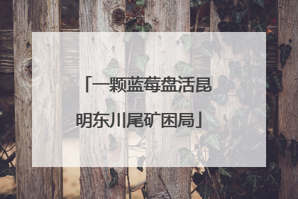 一颗蓝莓盘活昆明东川尾矿困局