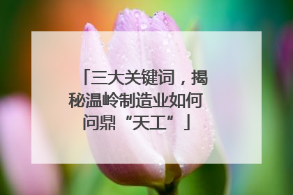 三大关键词，揭秘温岭制造业如何问鼎“天工”