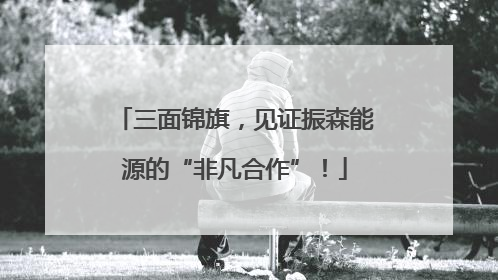三面锦旗，见证振森能源的“非凡合作”！