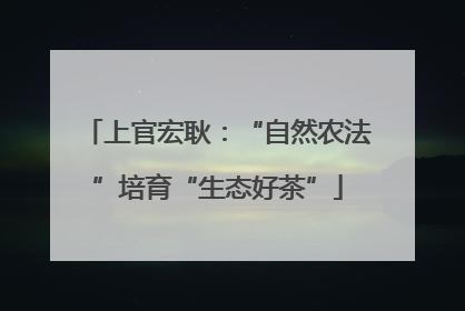 上官宏耿：“自然农法”培育“生态好茶”
