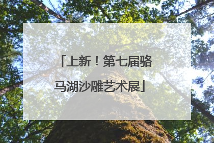 上新！第七届骆马湖沙雕艺术展