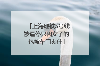 上海地铁5号线被逼停只因女子的包被车门夹住