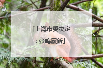 上海市委决定：张鸣履新