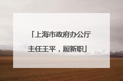 上海市政府办公厅主任王平，履新职