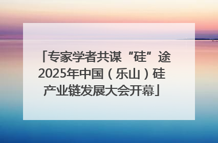 专家学者共谋“硅”途 2025年中国（乐山）硅产业链发展大会开幕