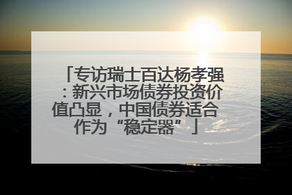 专访瑞士百达杨孝强：新兴市场债券投资价值凸显，中国债券适合作为“稳定器”