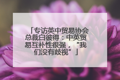 专访英中贸易协会总裁白彼得：中英贸易互补性很强，“我们没有歧视”
